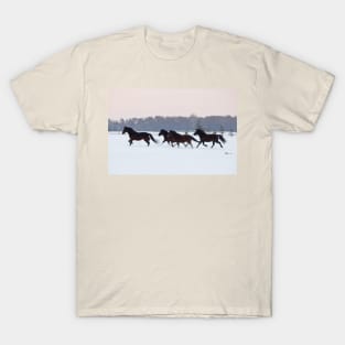 Four horses galloping on snowy paddock T-Shirt